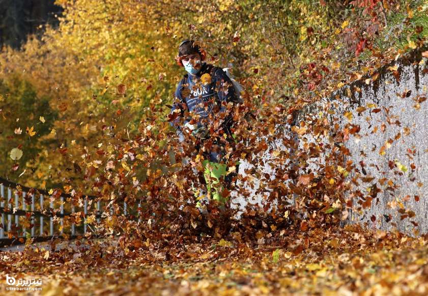 پاکسازی برگ درختان از مسیر پیاده روی در سوئیس
