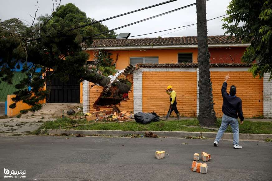سقوط یک درخت بخاطر وزش باد شدید ناشی از طوفان گرمسیری در السالوادور 