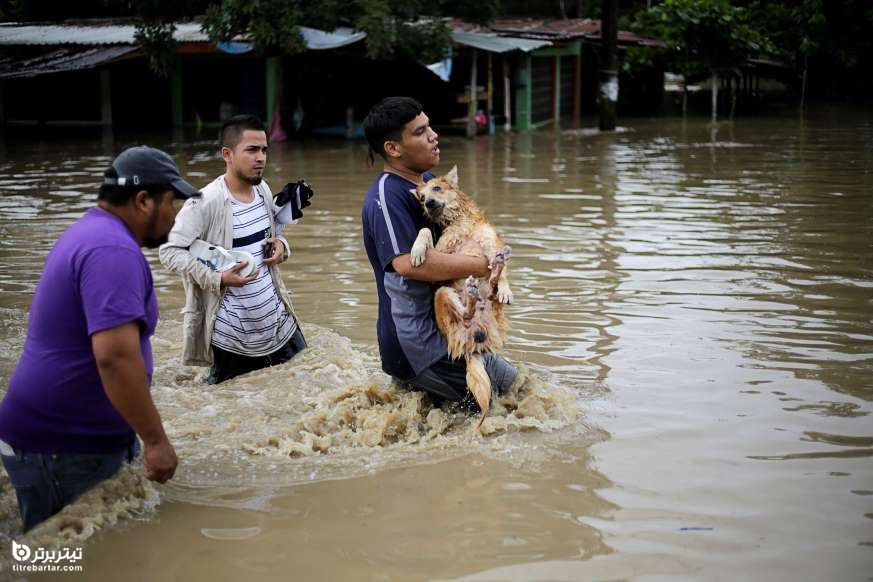 نجات سگ توسط صاحبش پس از طوفان در هندوراس