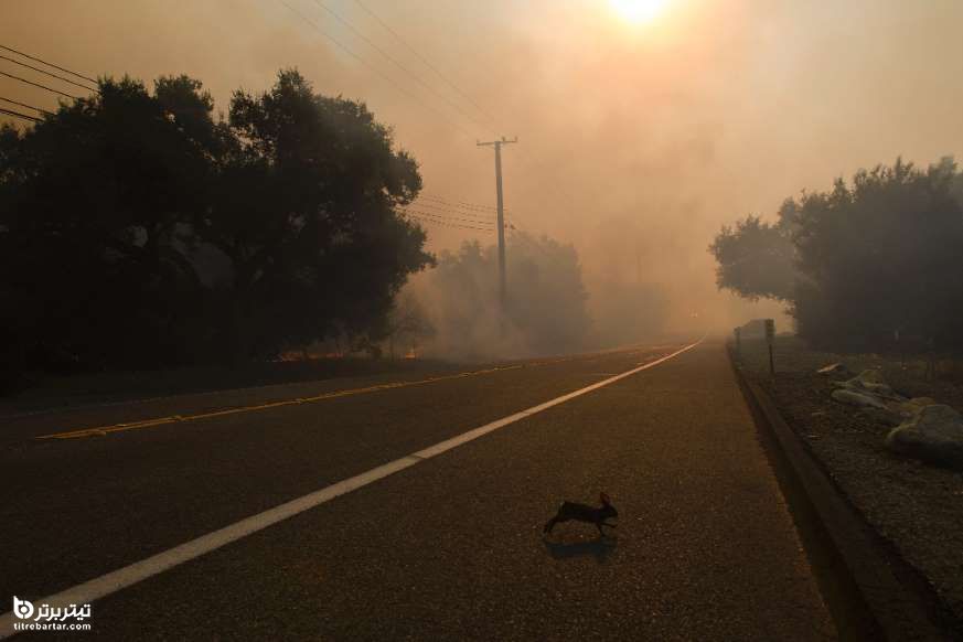آتشسوزی شدید در کالیفرنیا 
