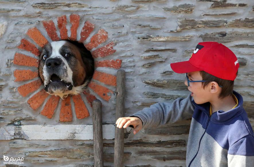 عکسی جالب از شیطنت یک سگ در کنار پسربچه
