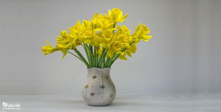 استفاده از زرد و خاکستری در زیبایی و گل آرایی
