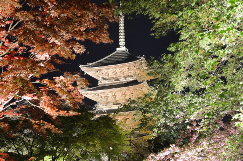10 چیز شگفت انگیز و شوکه کننده در مورد ژاپن
