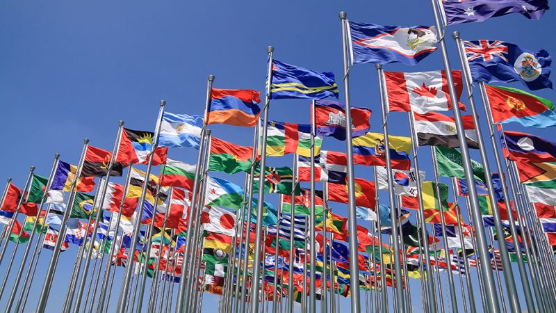 سازمان تجارت جهانی(WTO) چیست