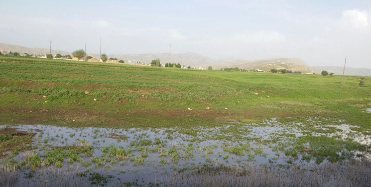 خشکسالی روستائیان اسلام‌آباد غرب را رنج داده است
