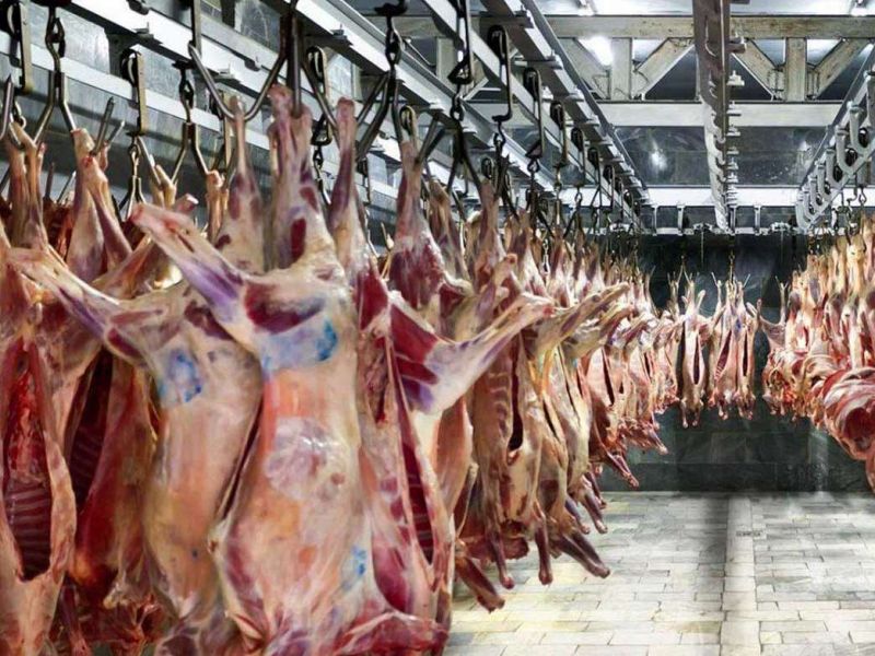 تعطیلی واحد تولیدی گوشت دهلران