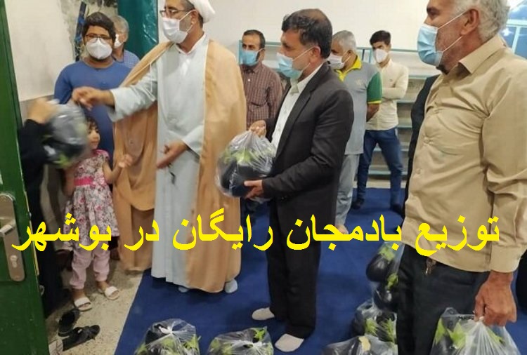 ماجرای جنجالی توزیع بادمجان رایگان در بین مردم بوشهر