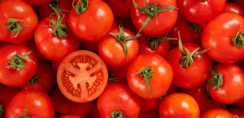 گوجه فرنگی داروی طبیعی ضد پارکینسون