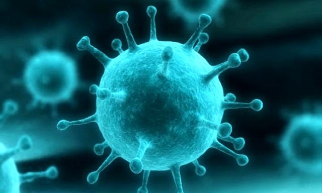یک کشف باورنکردنی درباره ویروس کرونا