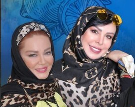 حواشی مجموعه شام ایرانی