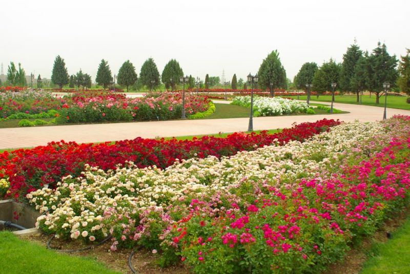 زیباترین و دیدنی ترین باغ های تهران را بشناسید!