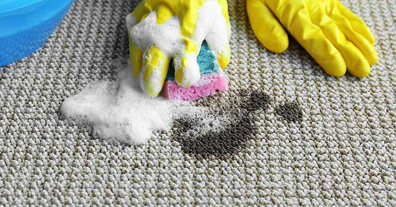 چگونه لکه های چربی را از روی فرش پاک کنیم