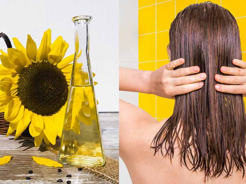 روغن آفتابگردان برای مو+ نحوه استفاده از آن و عوارض جانبی