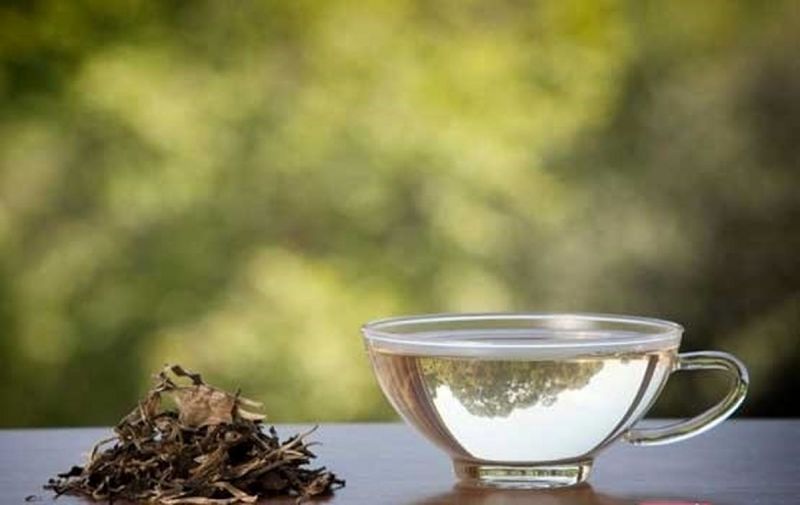 فواید بی نظیر چای سفید برای سلامتی