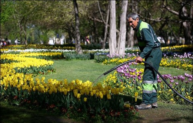 مدیرعامل سازمان پارک ها و فضای سبز شهرداری اصفهان: