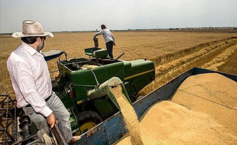 معاون بهبود تولیدات گیاهی سازمان جهاد کشاورزی خوزستان: