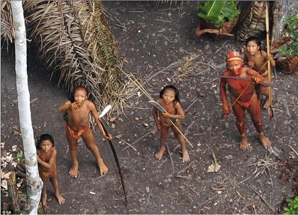 نحوه زندگی قبایل جنگلهای آمازون