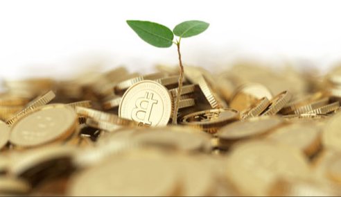بیت کوین4