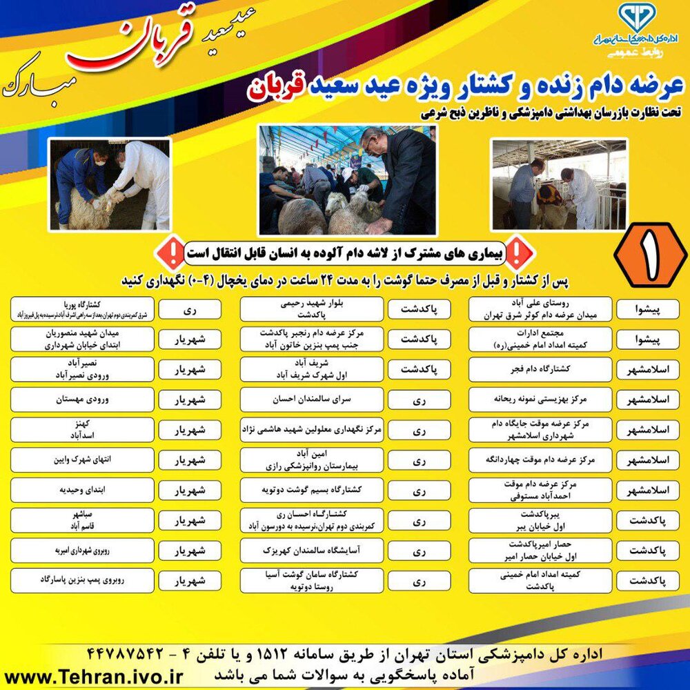 متوسط قیمت دام زنده برای عید قربان / محدودیتی برای عرضه نداریم