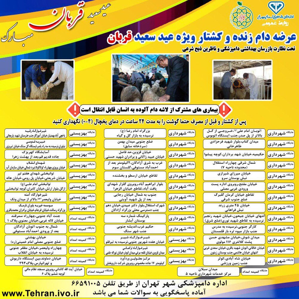 متوسط قیمت دام زنده برای عید قربان / محدودیتی برای عرضه نداریم