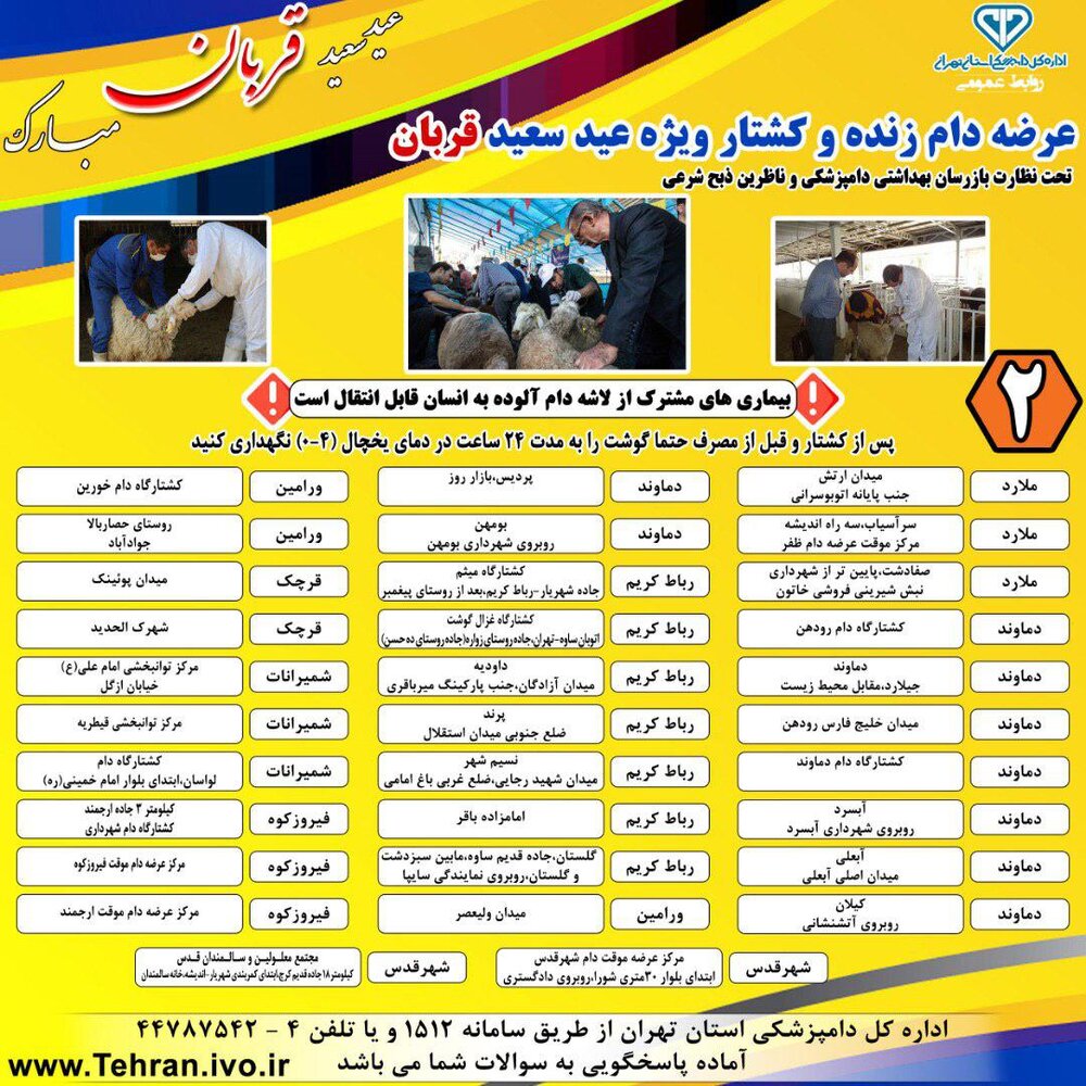 متوسط قیمت دام زنده برای عید قربان / محدودیتی برای عرضه نداریم