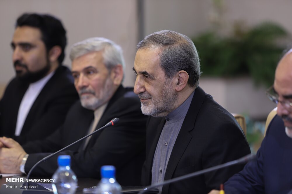 دیدار رئیس کمیسیون سیاست خارجه مجلس ایتالیا با ولایتی