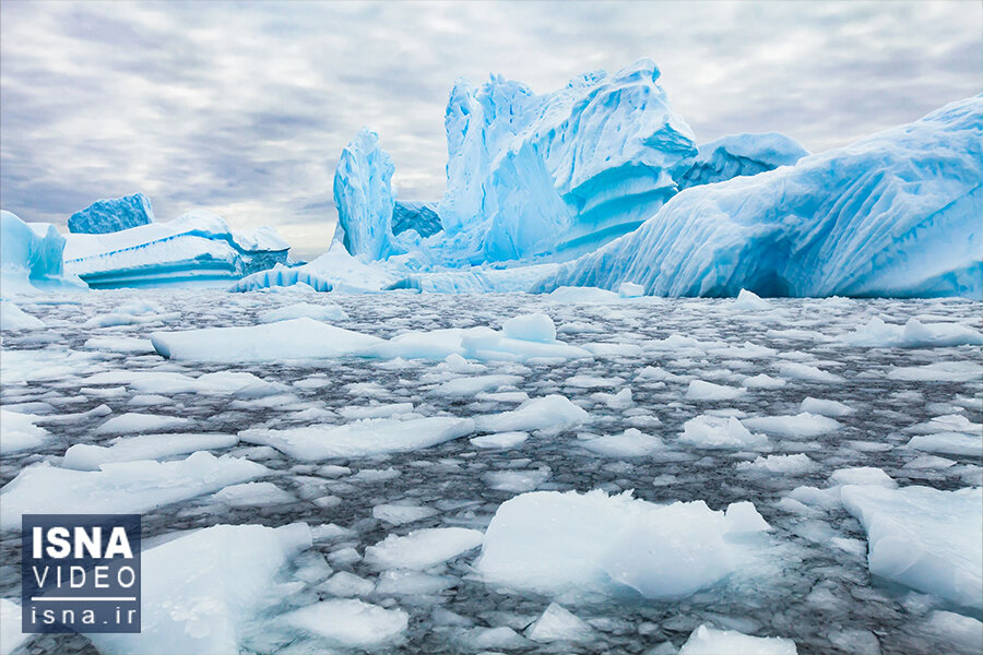 ویدیو/ تابستان قطبی «بدون یخ» در راه است