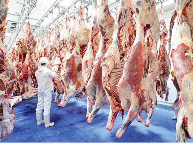 وعده باورنکردنی قائم‌مقام وزیر جهادکشاورزی درباره قیمت گوشت/ ۲ ماه صبر کنید، قیمت گوشت مثل سال قبل می‌شود