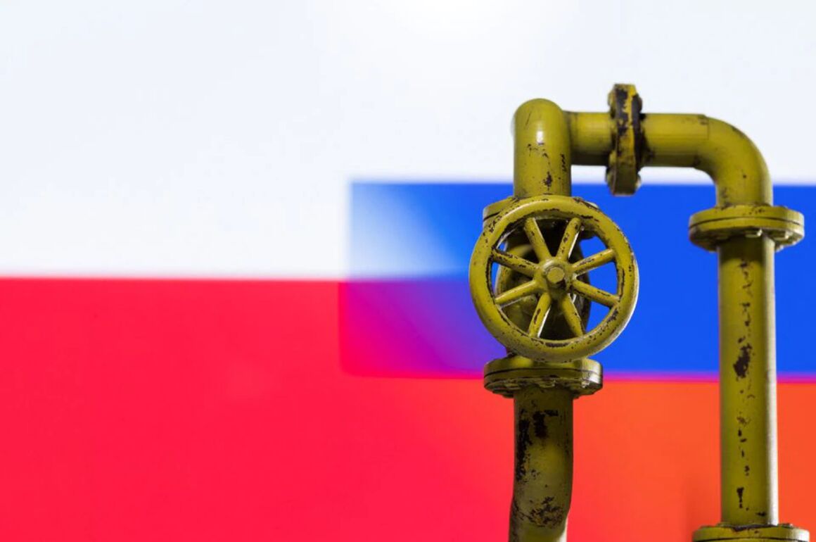 صادرات نفت روسیه افزایش می‌یابد