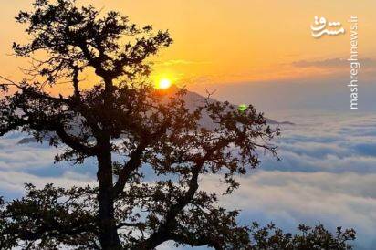 غرق در ابرهای ارتفاعات مازندران +عکس