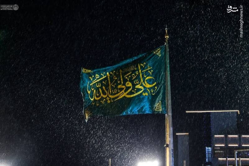وقتی امیرالمومنین بیمردم میشود