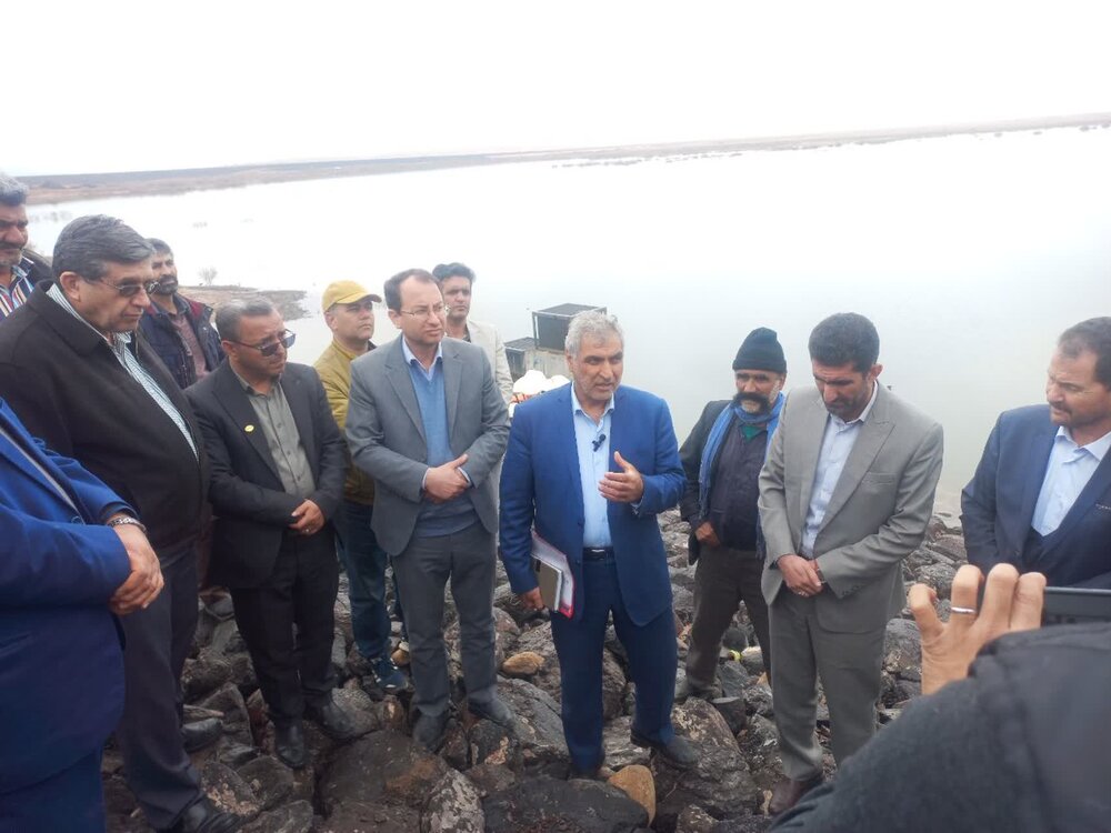 برنامهریزی برای توزیع ۳۰۰ هزار تن نهاده دامی میان عشایر در سال جاری