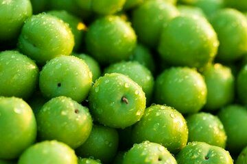 خواص و مضرات عجیب گوجه سبز برای بدن
