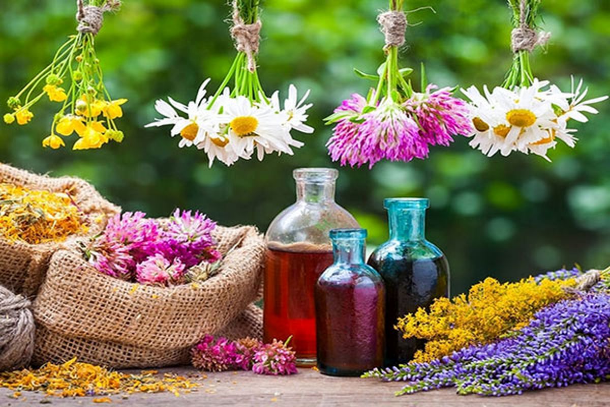 خواص آویشن شیرازی برای ریه و سرماخوردگی