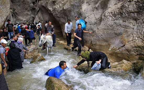تنگه واشی و خمده نروید