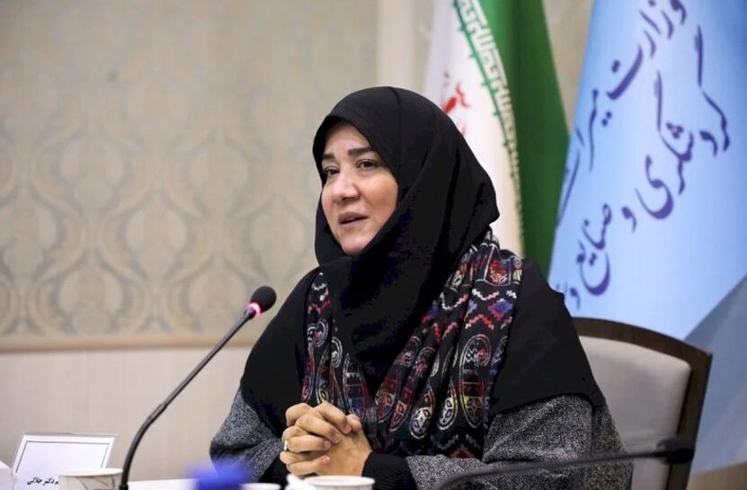 ابراز امیداواری برای احیای بناهای تاریخی با محوریت خانههای صنایعدستی