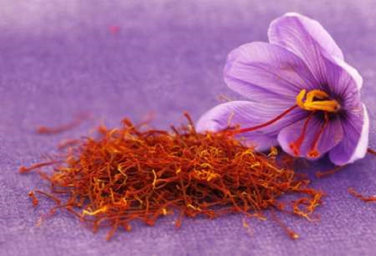 سوغات ۱.۴ تنی طلای سرخ شاهرود، سازگاری با کمآبی و اشتغالآفرینی
