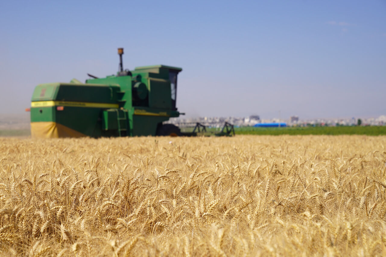 استفاده از راه حلهای نوآورانه تنها راهکار تامین امنیت غذایی برای سال ۲۰۵۰ است