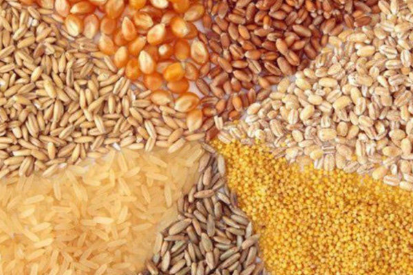 سقف جدید نرخ ارز نهادههای دام و طیور اعلام شد