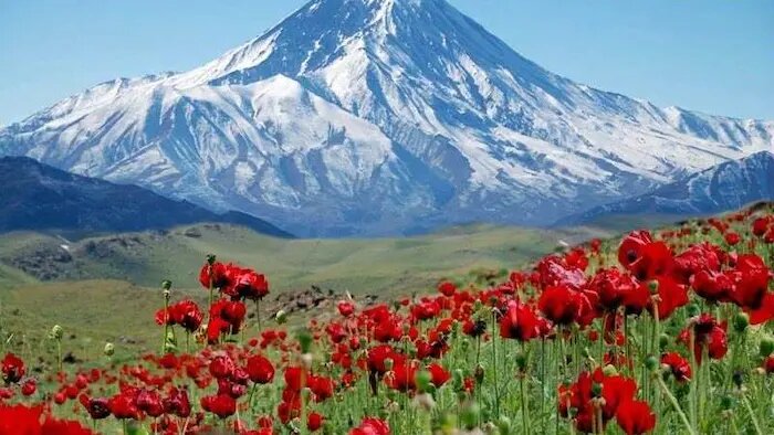 سفر یکروزه اطراف تهران کجا برویم؟/ دشت لار، بهشت گمشده البرز؛ مقصدی بکر برای طبیعتگردی و عکاسی