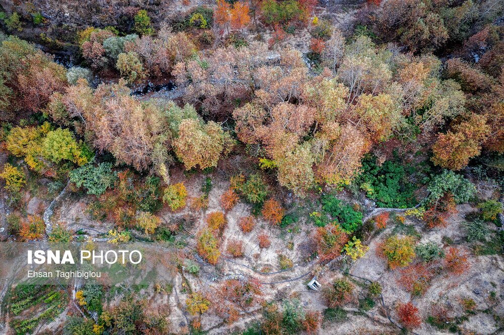 پاییزِ هزاررنگ در روستای شیت - طارم
