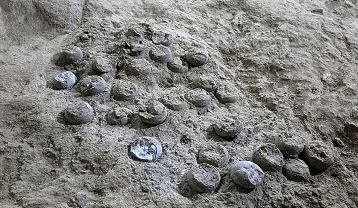 افشای حقایقی درباره آب و هوای زمین با راز ۸۵ میلیون ساله!
