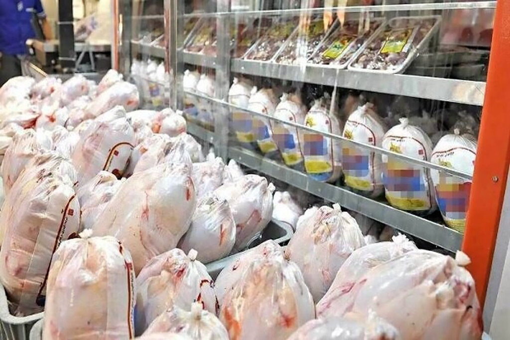 آغاز توزیع مرغ منجمد برای تنظیم بازار + قیمت
