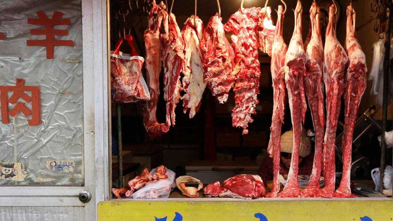 فروش گوشت روباه بهجای گاو و بره
