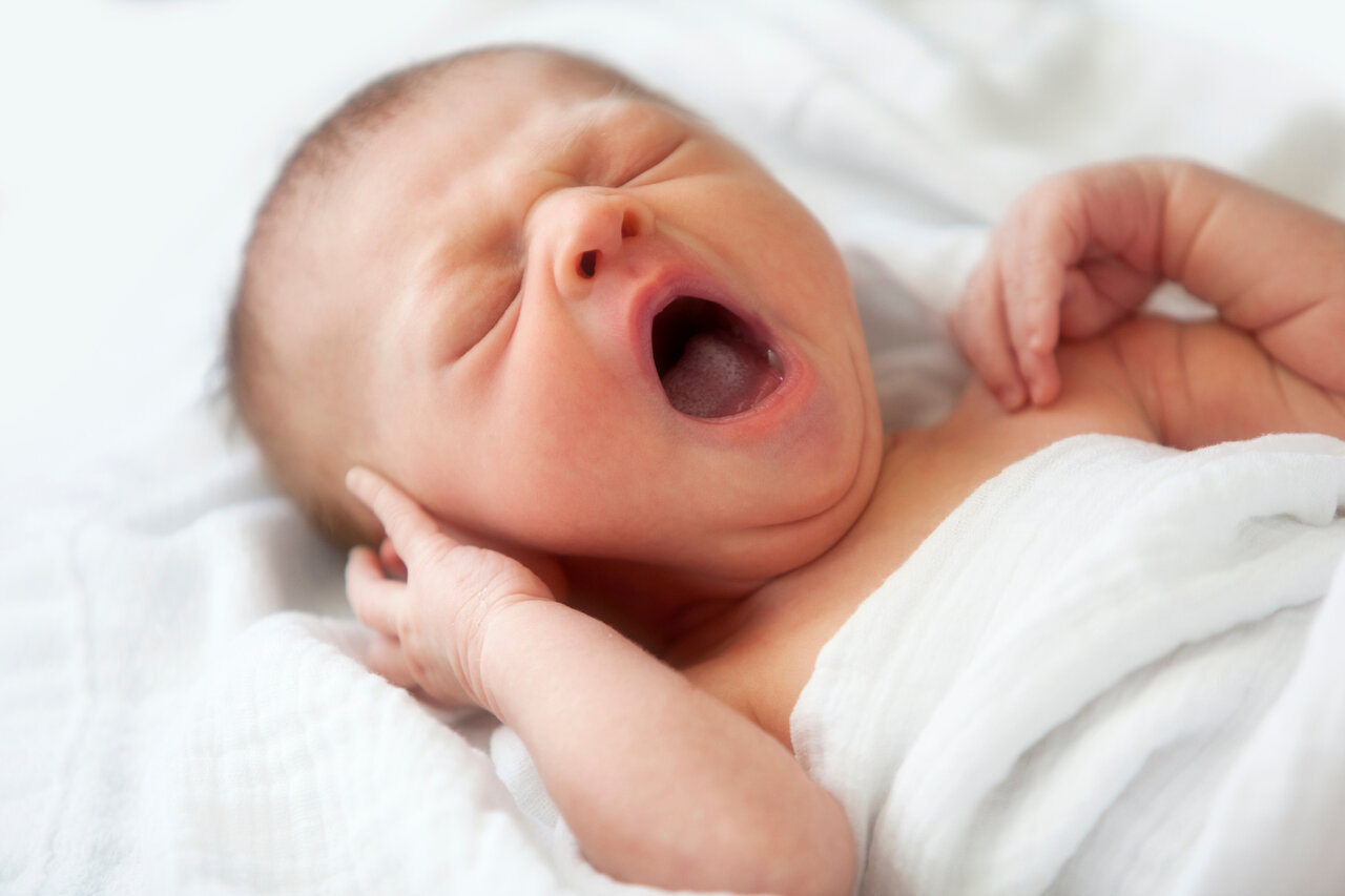 کالا برگ این گروه از فردا شارژ میشود