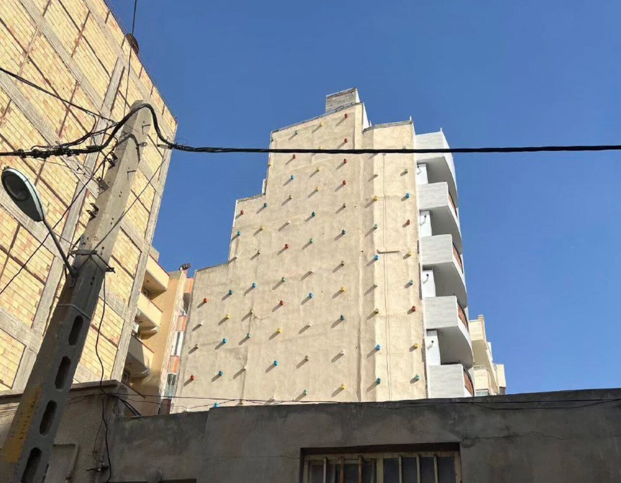 اهالی این خانه همسایه پرنده ها شدند + فیلم