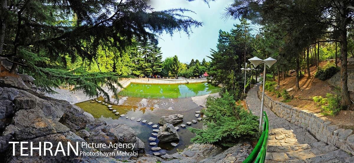 طبیعتگردی پاییزی در بوستانهای تهران