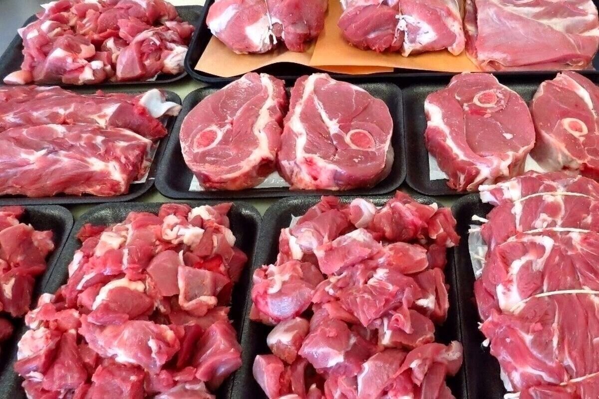 تغییر مهم در بازار گوشت ایران/ گوشت بوفالوی هندی به سفره ایرانی رسید