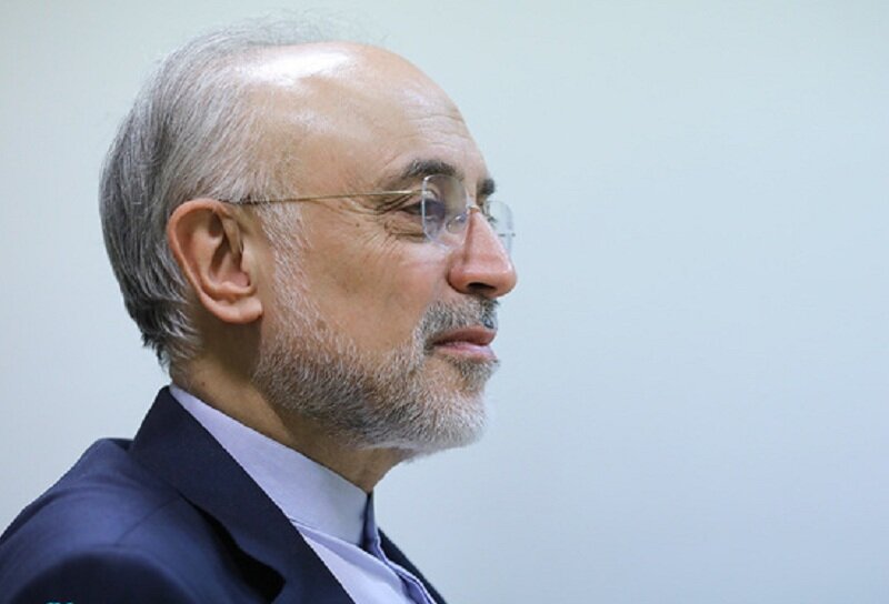تصمیم مدبرانه رهبر شهید در مورد برنامه هستهای چه بود؟ / علیاکبر صالحی: این مورد نشانی واضح از فراست، آینده نگری و اشراف امام شهیدمان بود