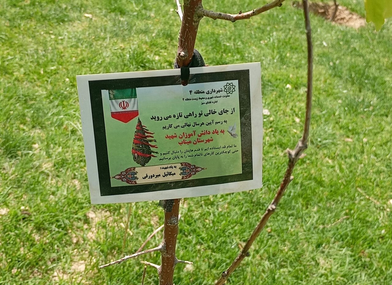 ۱۱/۵ میلیون نهال امید | نهضت درختکاری به یاد رهبر شهید تداوم دارد